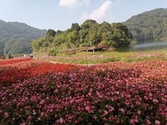 -广州市石门国家森林公园