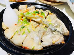 -点都德·毕德寮