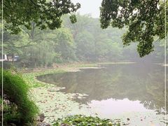-灵谷景区