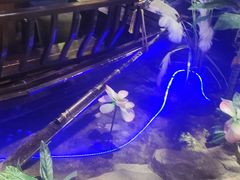-城墙拐拐火锅(三峡广场黑金冠店)