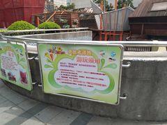 -中国福利会少年宫