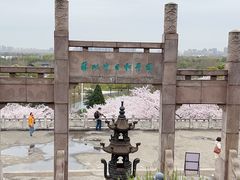 -苏州上方山国家森林公园