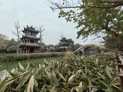 -黄龙溪古镇