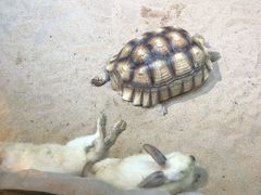 -华夏文旅西安度假区