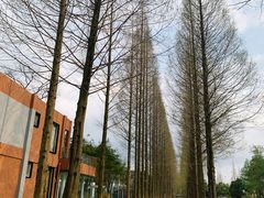 -蜀绣公园