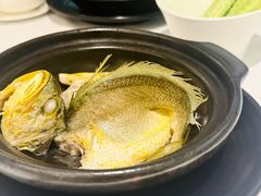 原味焗黄花鱼-菉雅苑·湛江菜(前海卓越INTOWN店)