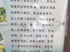 -枸杞岛