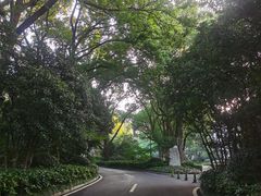 -南京东郊国宾馆