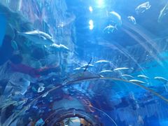 -华夏文旅海洋公园