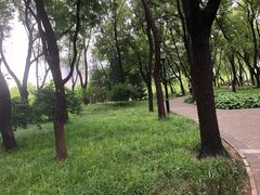 -玲珑塔公园