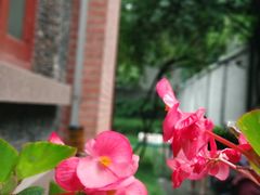 -上海孙中山故居纪念馆