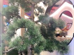 -望湘园·洞庭渔宴(永旺店)