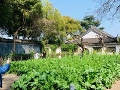 -绍兴鲁迅故里·沈园景区