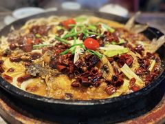 -老板恋上鱼(恒隆广场店)