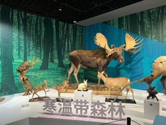 -中国湿地博物馆