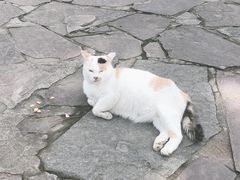 -普陀宗乘之庙(小布达拉宫)