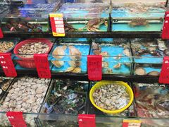 -鑫鸿达·海鲜闽菜热炒小馆(中山路店)