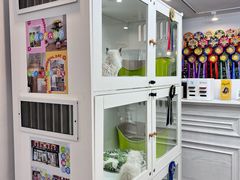 -青奢宠物·青奢猫舍