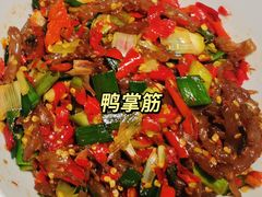-壹盏灯(惠农店)