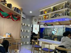 -喵园·猫主题咖啡厅·撸猫·猫咖(国贸店)