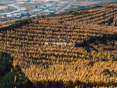 -帽儿山国家森林公园