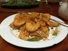 -北京君和豪生温泉度假酒店