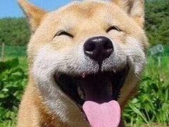 -乌鲁木齐路老洋房