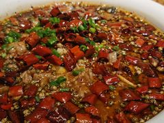 -鸽子窝(青塔店)