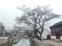 -青果巷历史文化街区