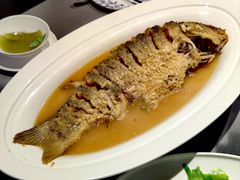 红烧黄河大鲤鱼-阿庄新豫菜(通泰路店)