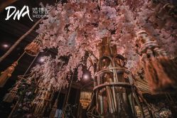 -DNA Wedding 婚礼记(上海店)