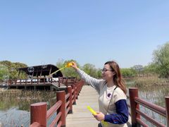 -长兴太湖图影湿地文化园