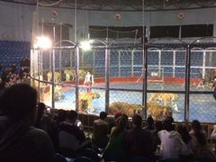 iphone_upload_pic-西安秦岭野生动物园