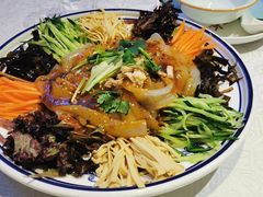五彩大拉皮-川人百味(天津远洋未来广场店)