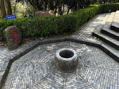 -上海佘山国家森林公园天马山园