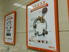 -北京观赏动物医院·24小时大型综合·猫专科·异宠专科