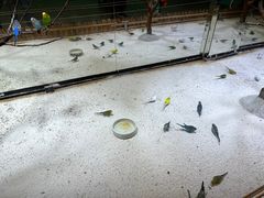 -上海大自然野生昆虫馆(东方明珠·爬宠昆虫探索中心)
