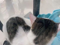 -佳雯宠物医院(金华南路分院)