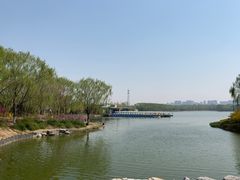 -大兴滨河森林公园