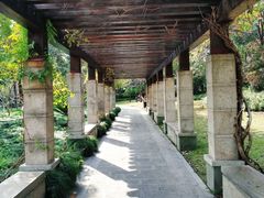 -杭州城北体育公园