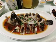 清蒸石斑鱼-金时代顺风大酒店(协泰店)