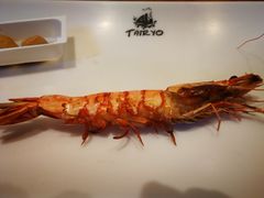 -大渔之观(安贞店)