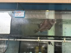 -朱家尖南沙景点