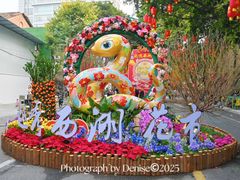-越秀西湖花市(广州城市广场花卉店)