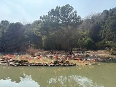 -宁波野生动物园