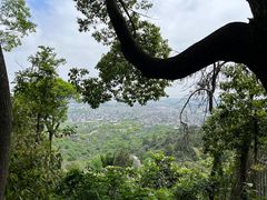-东山风景区(洞庭东山)
