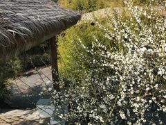-苏州上方山国家森林公园