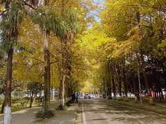 -四川大学(望江校区)