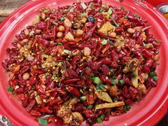 -聂发财重庆江湖菜(解放碑店)