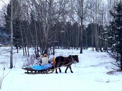 -北极村旅游风景区